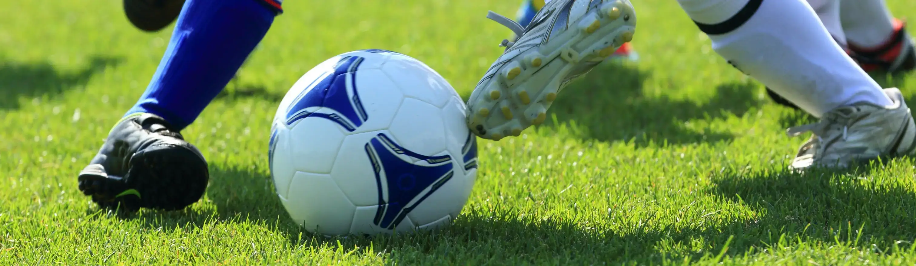 FC EIGHT イメージ